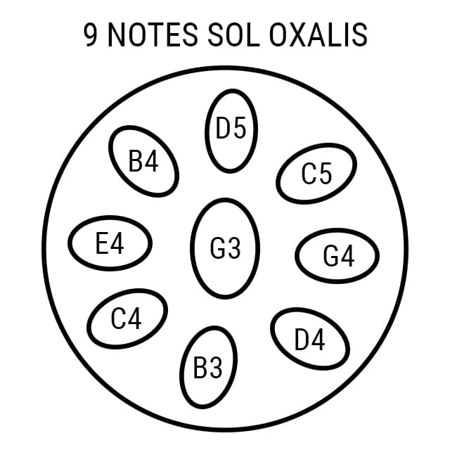 Handpan 9 notes Oxalis Lunea