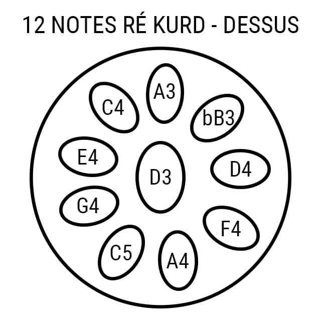 Handpan 12 notes Énara