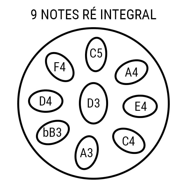 Handpan 9 notes Intégral Novalis