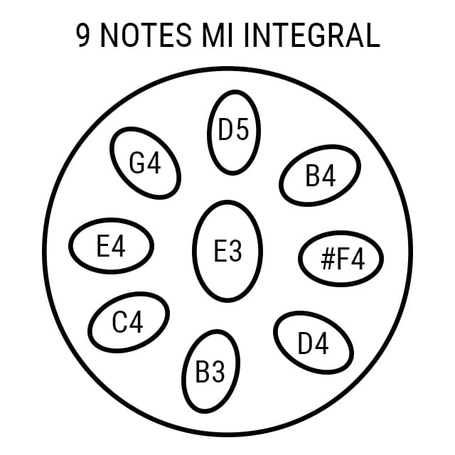 Handpan 9 notes Intégral Novalis