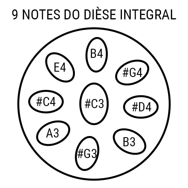 Handpan 9 notes Intégral Novalis