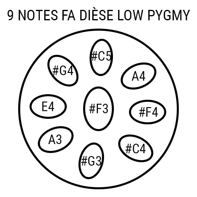 Handpan 9 notes Low Pygmy Arcana