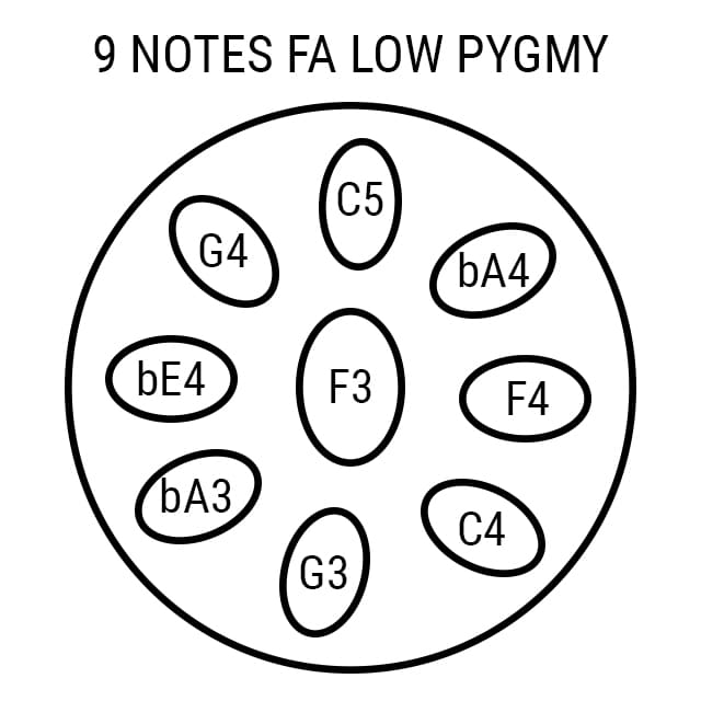 Handpan 9 notes Low Pygmy Arcana