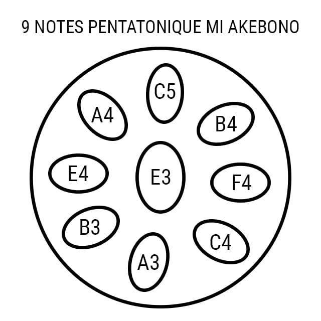 Handpan 9 notes Pentatonique Elysia